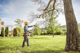 Best Emergency Tree Removal Services  in Mahnomen, MN