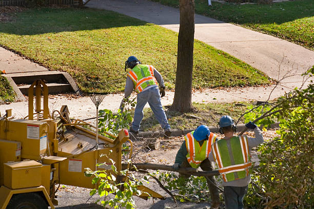 Best Weed Control Services  in Mahnomen, MN